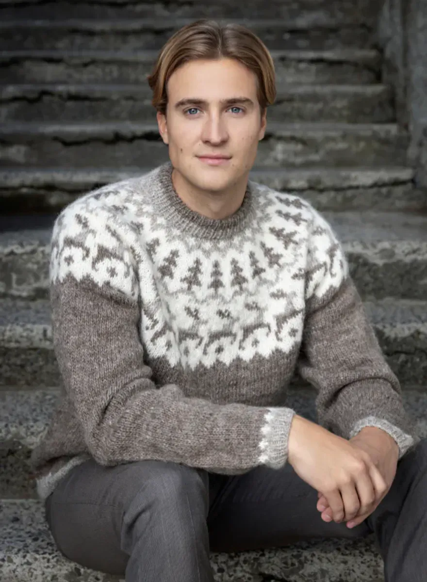 Hreindýr Í Snjó - garnpakke