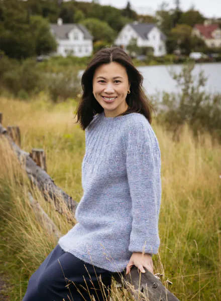 Hovedbilde Ísing - garnpakke