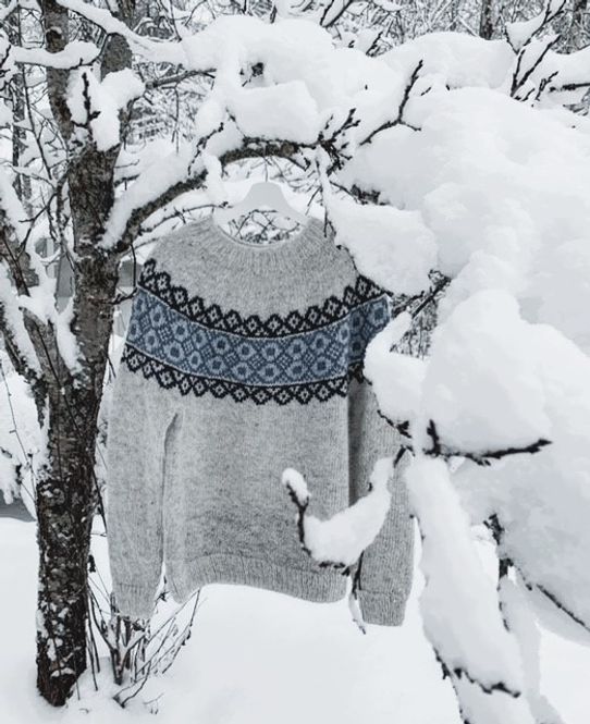 Hovedbilde Kuurankukka sweater - Digital oppskrift