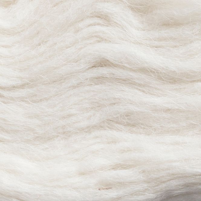 Hovedbilde Platulopi White 0001
