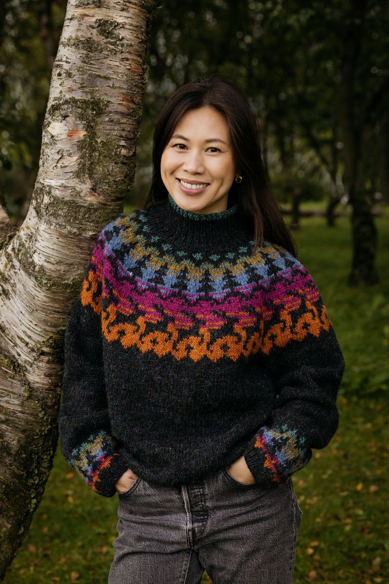 Hreindýr Í Norðurljósum - garnpakke