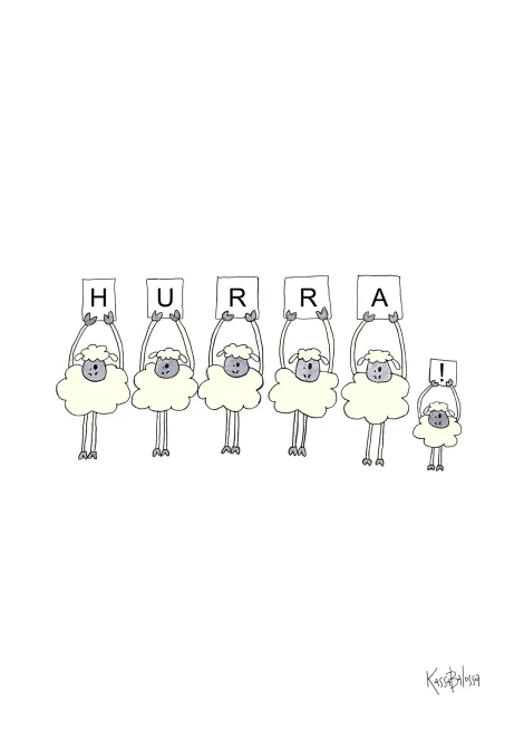 Hovedbilde Hurrasau